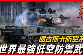 世界最强弹炮合一系统，射速5000发每分，武直在它面前就是靶子视频封面