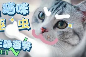 猫咪驱虫的正确姿势！get√视频封面