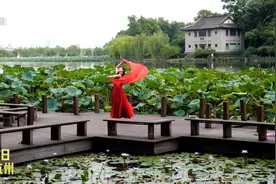 近六旬阿姨西湖边与荷共舞 舞姿优美不输年轻人视频封面