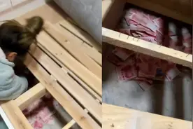 女子过年大扫除，床底发现老公私房钱，整堆百元大钞一锅端乐翻视频封面