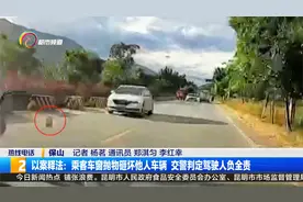 以案释法：乘客车窗抛物砸坏他人车辆 交警判定驾驶人负全责视频封面
