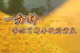 1分钟！带你了解丰收的重庆视频封面