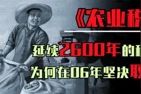 农业税延续2600年，50年共纳14000多亿斤，可为何06年却坚决取消