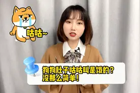 狗狗肚子咕咕叫是饿的？没那么简单！
