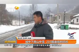 西安城区下雨，城南山中下雪，210国道交警临时进行封路|都市快报视频封面