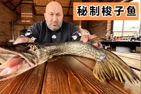 都说梭子鱼味道鲜美绝伦，300买来一条尝尝鲜，味道果然名不虚传视频封面