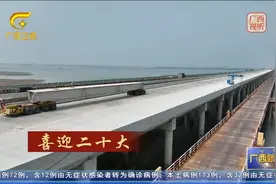 广西：高标准推进重大项目建设 夯实高质量发展根基视频封面