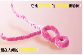 撒旦遗留在人间的致命病毒？它比中世纪的黑死病更恐怖！视频封面