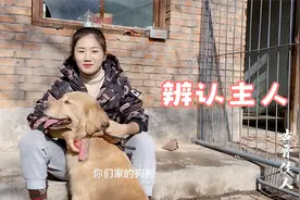 你知道狗狗是怎么辨认自己主人的吗？狗狗心想：这还算是个事？