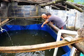 水池突然浮现断头鱼，小伙摸不着头脑，不料水下一看情形更可怕