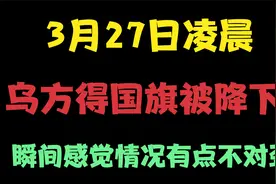 3月27日凌晨乌方得国旗被降下，瞬间感觉情况有点不对劲视频封面