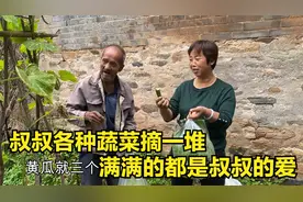 年迈叔叔时刻惦记大妮，各种蔬菜摘一堆，满满的全是叔叔的爱视频封面