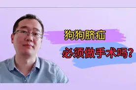 狗狗脐疝为什么不建议着急给它做手术修复视频封面