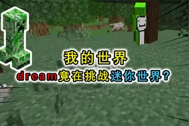 Dream挑战迷你世界？生物们都是迷你形态，末影龙更是变成宝宝