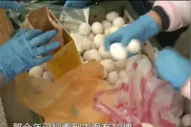 日缺百万颗鸡蛋？台湾“鸡蛋荒”难解，价格飙涨创历史高点视频封面