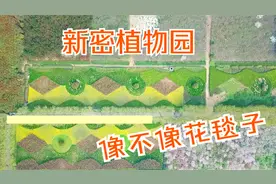 尚未完工就游客云集，新密植物园厉害了！未来提升城市品位就靠他视频封面