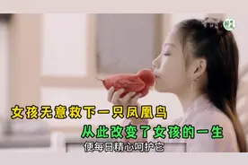 女孩无意救下一只凤凰鸟，从次改变了女孩的一生视频封面