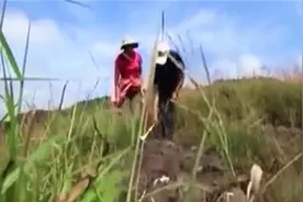 诡异大脚印谜团重重，有人推测是神秘民族图腾，有人却怀疑是炒作