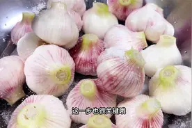 腌糖醋蒜时，只加糖和醋就错了，教你正确做法，酸甜脆爽不易坏视频封面