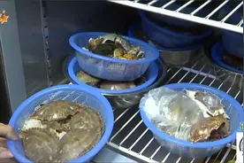 “胖哥俩肉蟹煲”北京门店被曝光  杭州店情况如何？视频封面