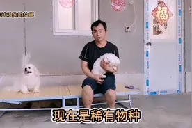 家里狗狗那么多了老五为什么还去买狗狗？听听老五怎么说