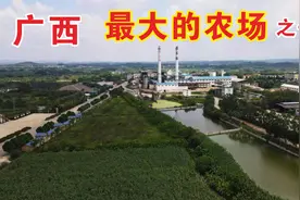 南宁西乡塘区金光农场一带，地势非常平坦，为啥南宁不往这边发展视频封面