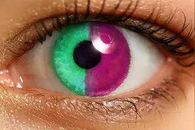 最稀有的四个瞳孔颜色，最好看的紫色瞳孔，仅600人拥有！视频封面