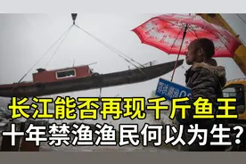 长江十年禁渔效果初显，江里的鱼有多大了？退捕后渔民如何生活？视频封面