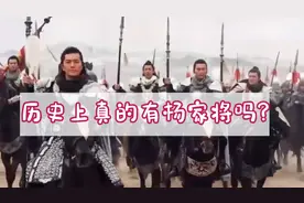 历史上真的有杨家将吗？来，我给您讲讲历史上真实的杨家将的故事视频封面