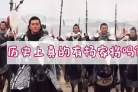 历史上真的有杨家将吗？来，我给您讲讲历史上真实的杨家将的故事视频封面