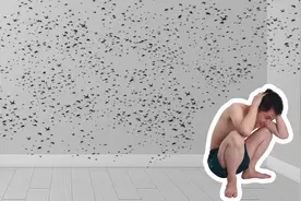 如何一次干掉房间里的100只蚊子？视频封面