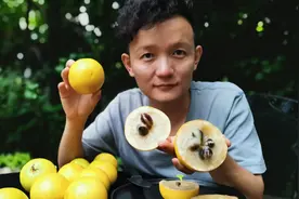 吃了能把嘴粘上的神奇黄晶果，怎么吃才安全，吃起来啥味道？让水果猎人告诉你！视频封面