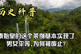 秦始皇的这个条例基本实现了男女平等,为何被废止?视频封面
