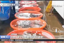 活鱼非法添加了孔雀石绿？记者暗访水产市场，鱼贩：要不你别买了视频封面