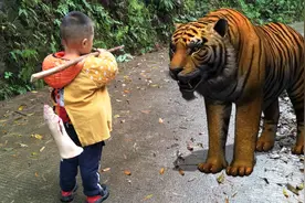 百亿剧好看魔幻：小孩买肉回家，结果路上遇到老虎，猜他会怎么做视频封面