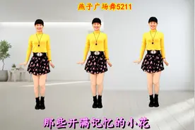 崔伟立DJ版《小花》开启迎新春新模式，走心的歌词，触动心弦视频封面