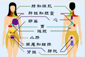 身体常见疼痛对照表，疼痛其实就是相应器官给我们的暗示！视频封面