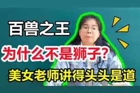 老虎为什么是百兽之王？而不是狮子，美女老师讲得头头是道视频封面