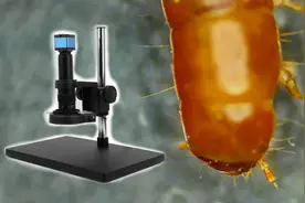 花费近1000元买了台电子显微镜，从此打开了微观世界的大门视频封面