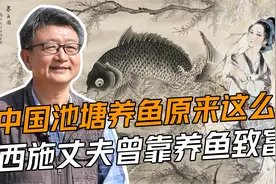中国池塘养鱼原来这么早，西施丈夫曾靠养鱼致富？视频封面