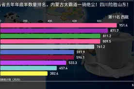 2020年末全国各省羊数量排名,内蒙古一骑绝尘!四川险胜山东！视频封面