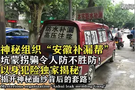 神秘组织“安徽补漏帮”，坑蒙拐骗全国乱跑，背后隐藏着什么？视频封面