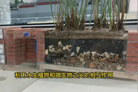 农村自建房下水完美解决方式，五段式化粪池，排放环保无异味