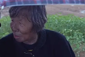 老奶奶乘坐公交车，不坐车上的座位，却跑到行李舱里去坐视频封面