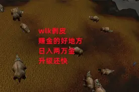 魔兽世界怀旧服：wlk剥皮赚金的好地方，日入两万金，升级还快视频封面