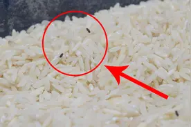 大米生虫后能吃吗？很多家庭都弄错了，教你正确处理，学会没坏处