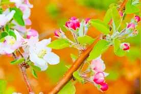 一天中，第一个叫醒你的是闹钟，第一眼看到的是阳光，快乐每一天