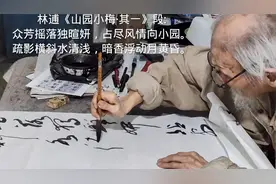 百龄翁书林逋《山园小梅》：表达对梅花无比深情，赞美其孤高绝俗视频封面
