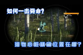 荒野的召唤：如何一击毙命？猎物心脏精确位置在哪？太实用了！视频封面
