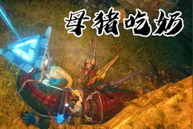 方舟生存进化239：三月驾驭鳄鱼惨遭“母猪吃奶”，拱到起飞！视频封面